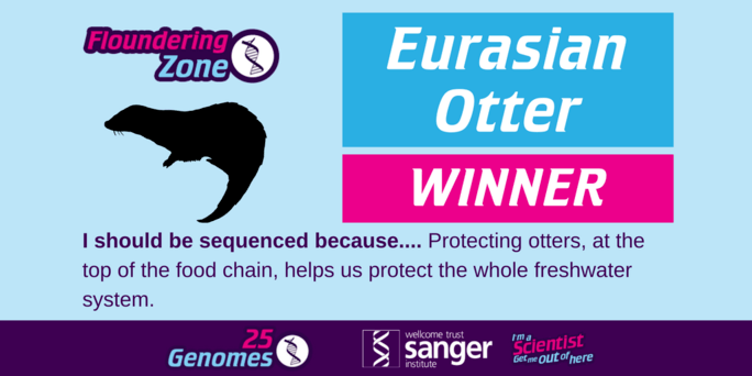 the winning species in the Floundering Zone is the Eurasian Otter