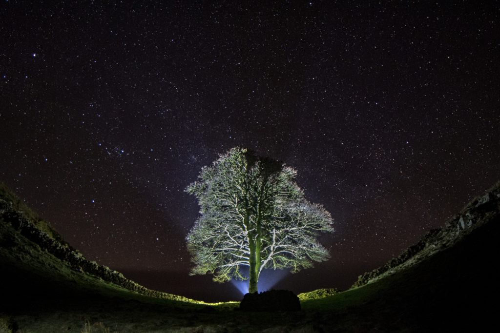 The stars above Sycamore Gap