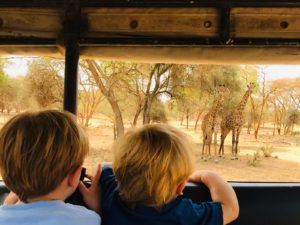 on safari
