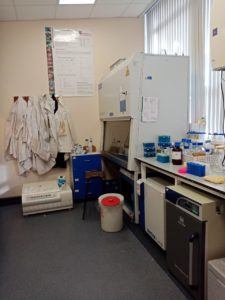 Our lovely lab