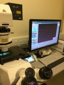 Picture showing confocal laser scanning microscope 