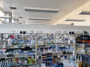 The lab