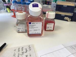 Pretty pink media bottle to feed my cells