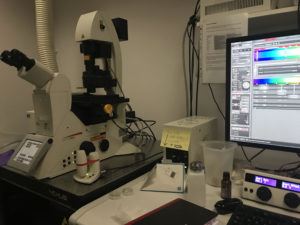 My favourite microscope