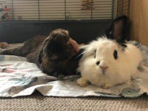 Lola and Jasmine