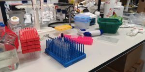 This is one day in the lab and the things I work with