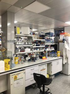 My lab bench!