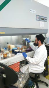 A day in the lab