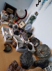 Part of my fossil collection!