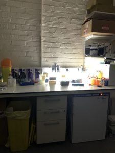Optics lab - it looks dark, because the lights are usually off as they disturb the microscopes.