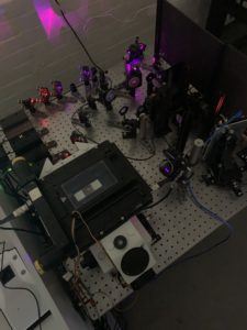 "Freddie" the FLIM microscope, the instrument I use to take a closer look at brain tissue.