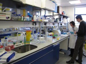 laboratory
