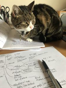 Cat on notepad