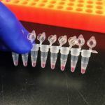 Lab tubes