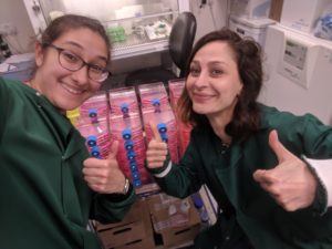 Two women in brown hair smiling and giving a thumbs up in front of a trolley full of tissue culture flasks containing pink media