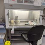 An open tissue culture hood containing various pipettes, media bottles, etc