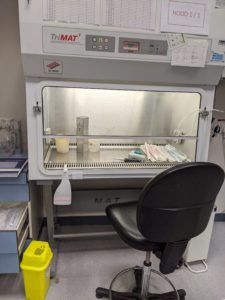 An open tissue culture hood containing various pipettes, media bottles, etc
