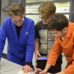 Discussion in teaching lab