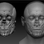 Facial reconstruction process of Leasowe Man.