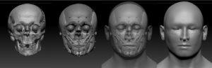 Facial reconstruction process of Leasowe Man.