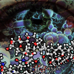 Amphotericin Polymer