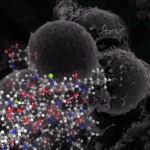PNIPAM Bacteria