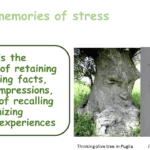 Also plants can feel stimulus and stresses than they can remember and transmit to their seeds